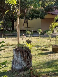 Sítio - afastado do centro, perto de boas vivências.
