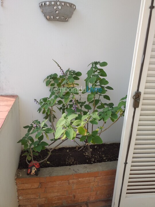 Apartamento para aluguel de temporada em Guarujá (Enseada)