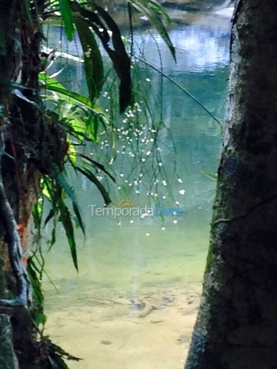 Chácara / sítio para aluguel de temporada em Nova Friburgo (Estrada Toca da Onça)