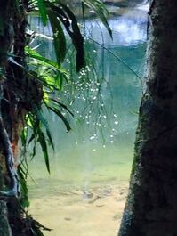 Vista da sacada de acesso ao poço