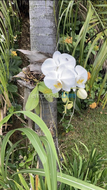 House for vacation rental in Camaçari (Praia de Guarajuba)