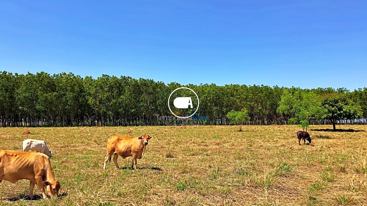 House for vacation rental in Olímpia (Thermas Dos Laranjais)