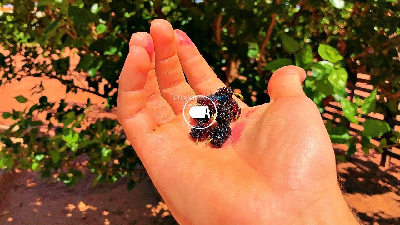 House for vacation rental in Olímpia (Thermas Dos Laranjais)