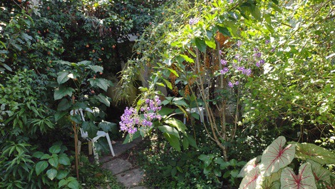 Martim de Sá - Borboleta - Beautiful Holiday Apartment with Kitchen