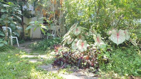 Martim de Sá - Borboleta - Beautiful Holiday Apartment with Kitchen