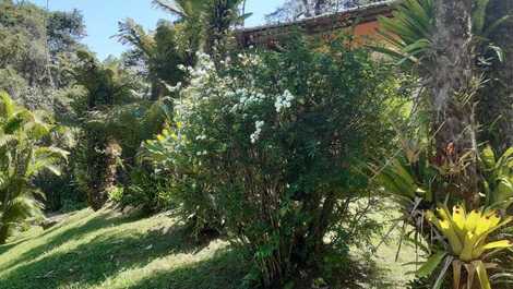 Sitio en la Mata Atlántica