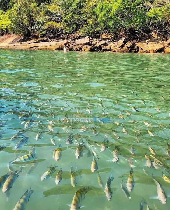 House for vacation rental in Ubatuba (Maranduba)