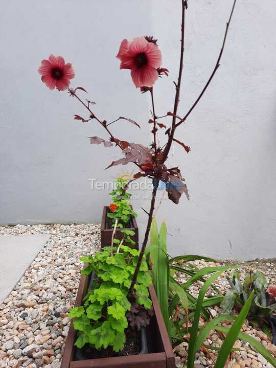 House for vacation rental in Bombinhas (Mariscal)