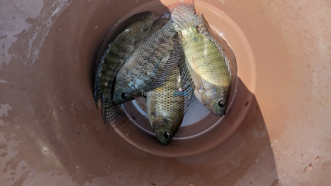 Casa para aluguel de temporada em Itanhaém (Balneário Gaivotas)