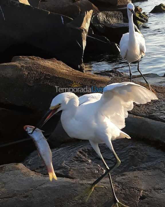 Casa para alquiler de vacaciones em Laguna (Ponta da Barra)