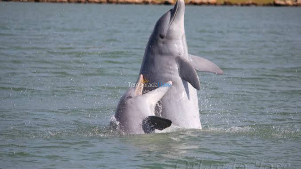 Casa para alquiler de vacaciones em Laguna (Ponta da Barra)
