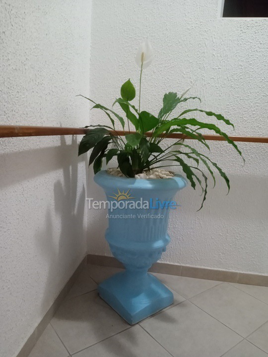 Apartamento para alquiler de vacaciones em Bombinhas (Praia de Bombas)