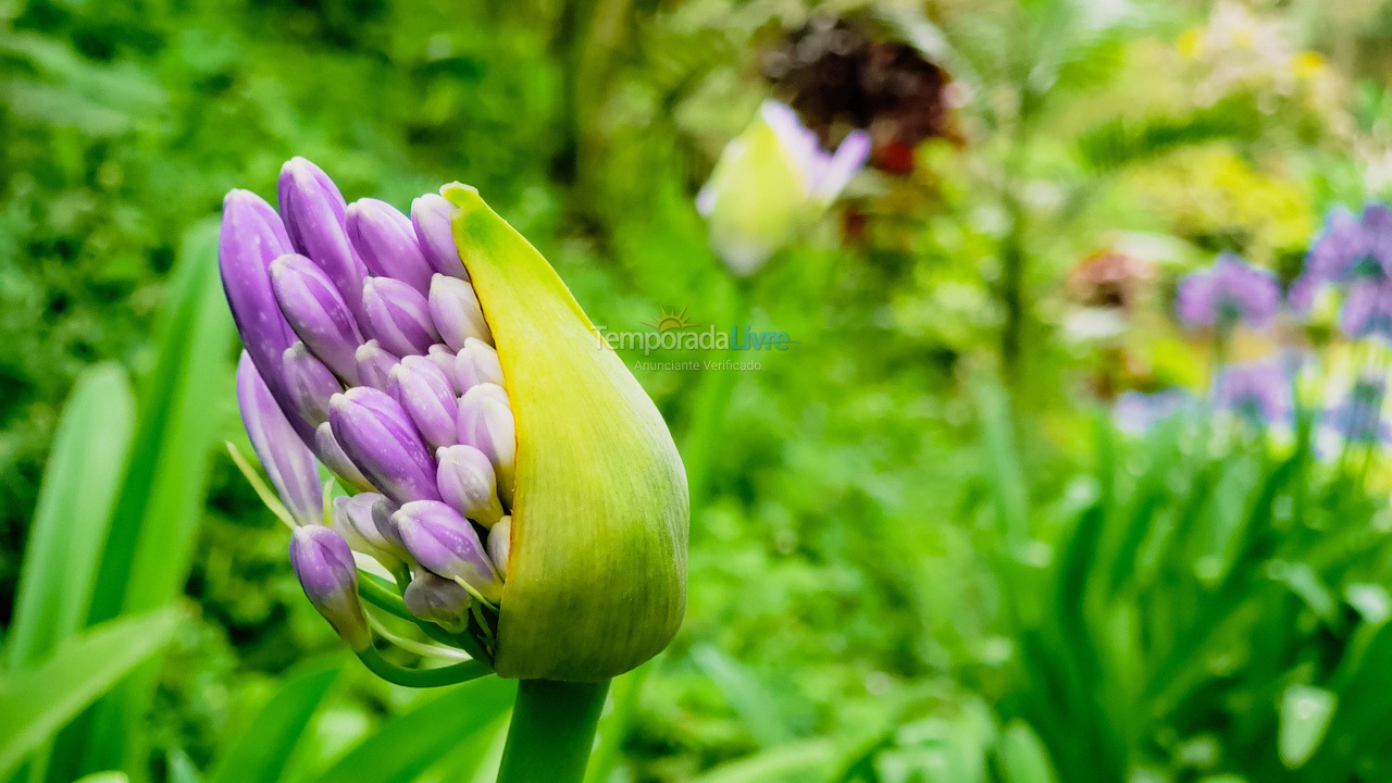 Ranch for vacation rental in Juquitiba (800 Mts da Rodovia Locamos Até 40 Adultos)