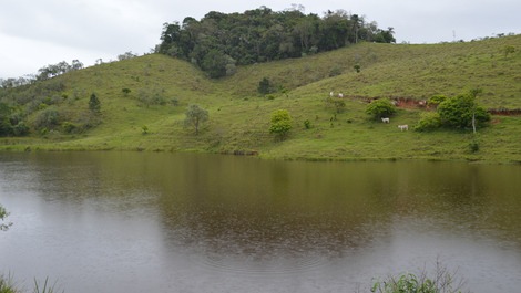 Lago vista mata