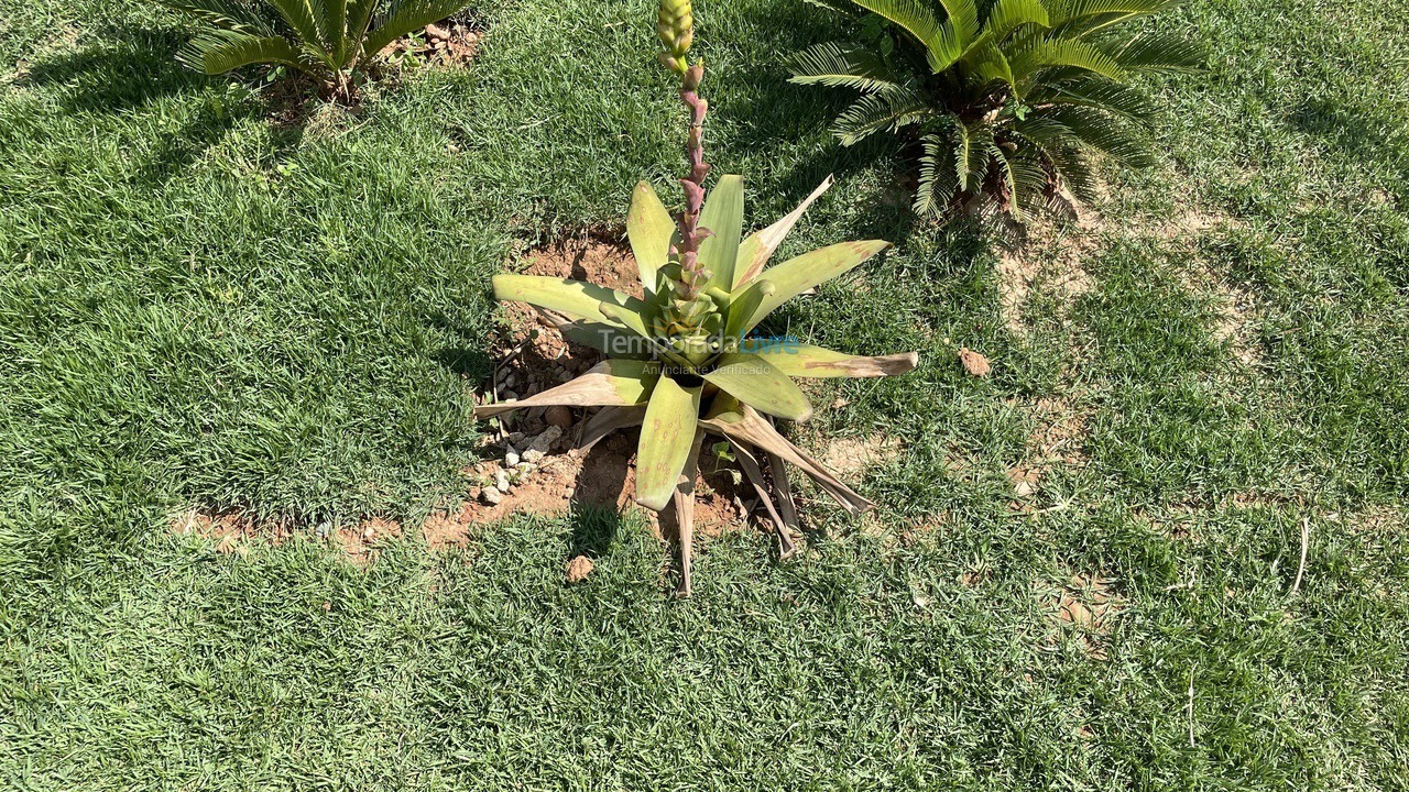 Granja para alquiler de vacaciones em Santana de Pirapama (Fechados)