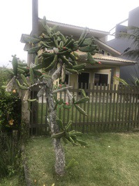 Barra do Sai Guaçu - Guaratuba-PR