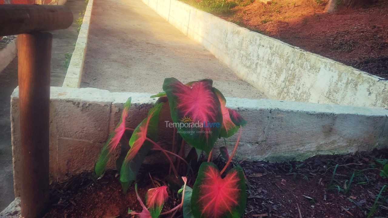 Chácara / sítio para aluguel de temporada em Socorro (Bairro dos Farias)