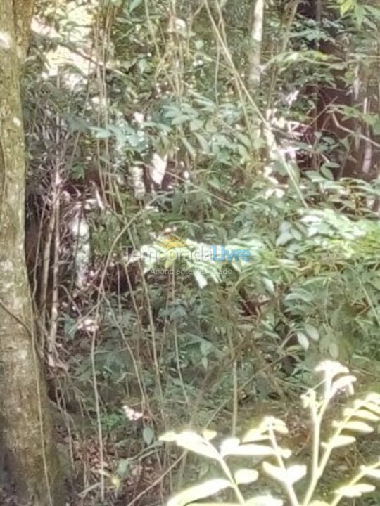 Casa para aluguel de temporada em Charqueada (Cidade Jardim)