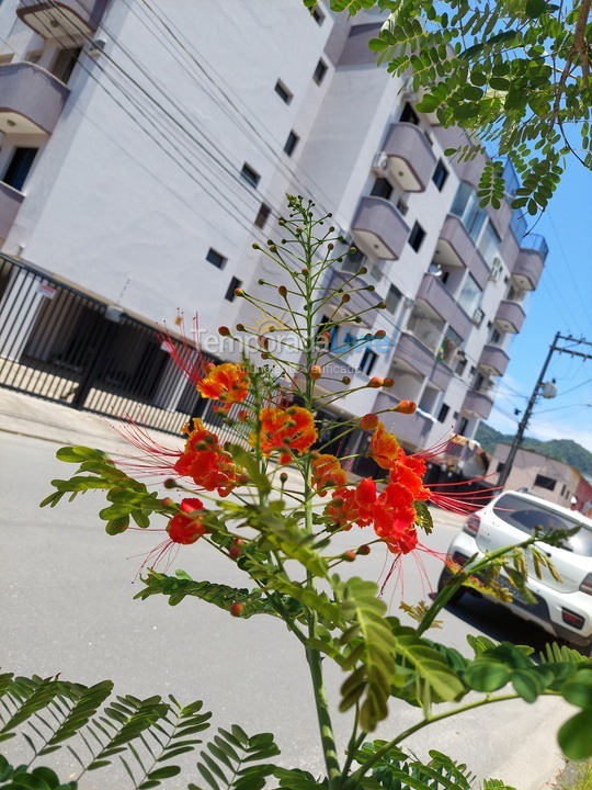 Apartamento para aluguel de temporada em Ubatuba (Itaguá)