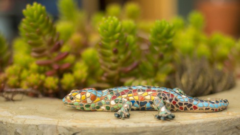 Vila do Lago - Chalés aconchegantes em frente ao Lago e montanhas!!!