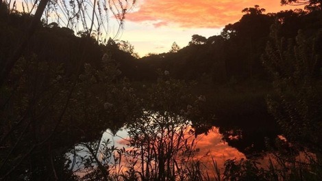 House for rent in São Francisco de Paula - Serra Velha