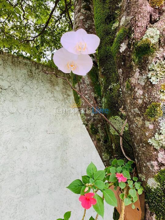 Granja para alquiler de vacaciones em Sete Lagoas (Serra de Santa Helena)