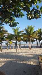 Acogedor apartamento con excelente ubicación.