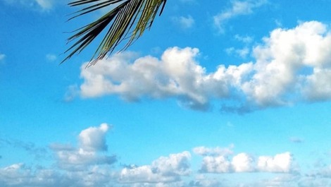 ALUGUEL DE CASA NA ILHA DE ITAMARACÁ- PRAIA DO SOSSEGO- PERNAMBUCO