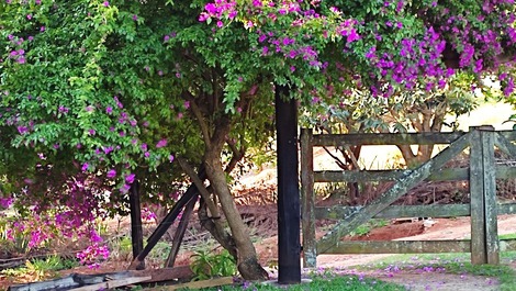 Chalé Terras de Bragança descanso e lazer