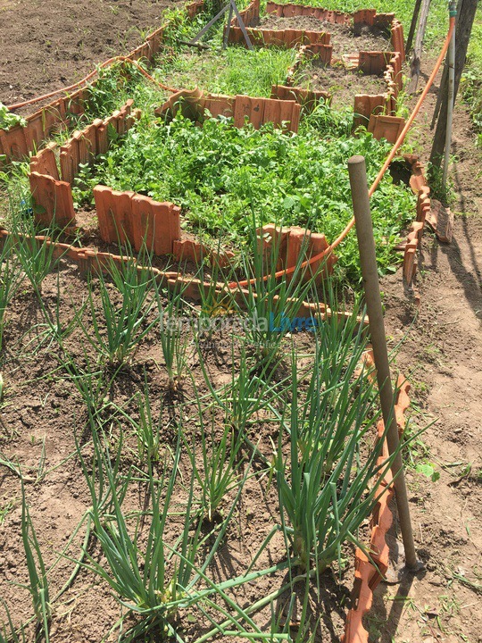 Granja para alquiler de vacaciones em Cerquilho (Hungria)