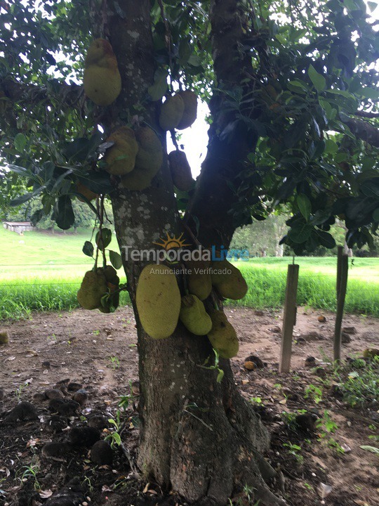 Granja para alquiler de vacaciones em Cerquilho (Hungria)