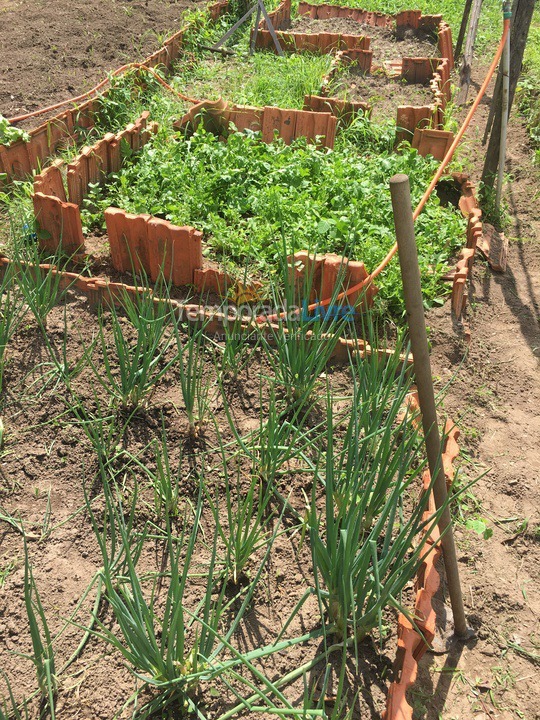 Granja para alquiler de vacaciones em Cerquilho (Hungria)