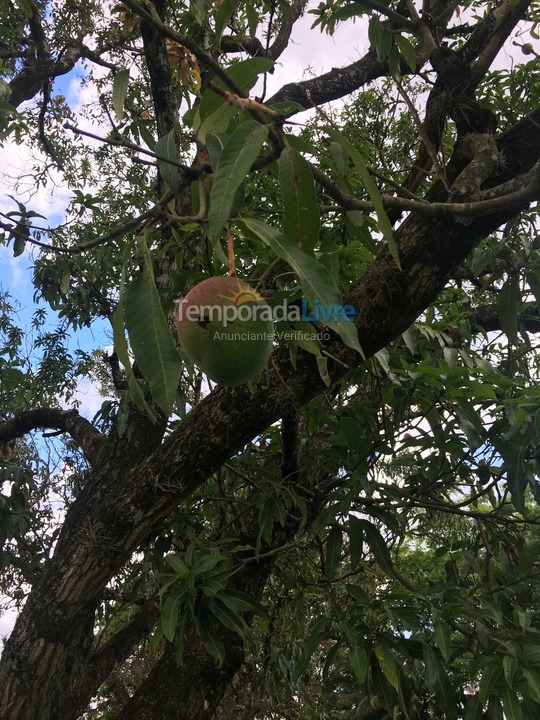 Granja para alquiler de vacaciones em Cerquilho (Hungria)