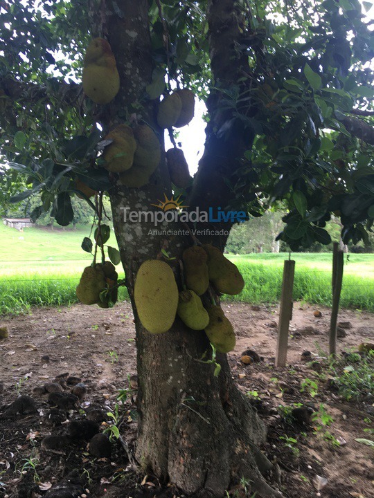Granja para alquiler de vacaciones em Cerquilho (Hungria)