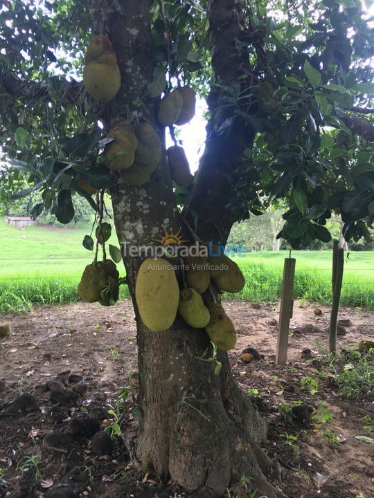 Granja para alquiler de vacaciones em Cerquilho (Hungria)