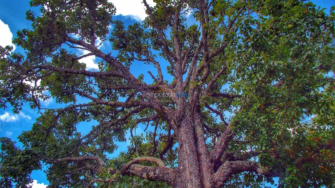 Granja para alquiler de vacaciones em Areias (Não A Praiia)
