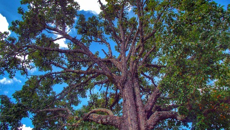 Casa de campo estilo casa de campo