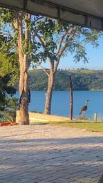 Viva essa experiência 