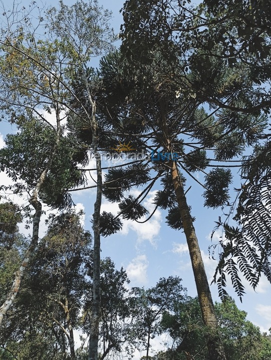Casa para alquiler de vacaciones em Itamonte (Berta Rural)