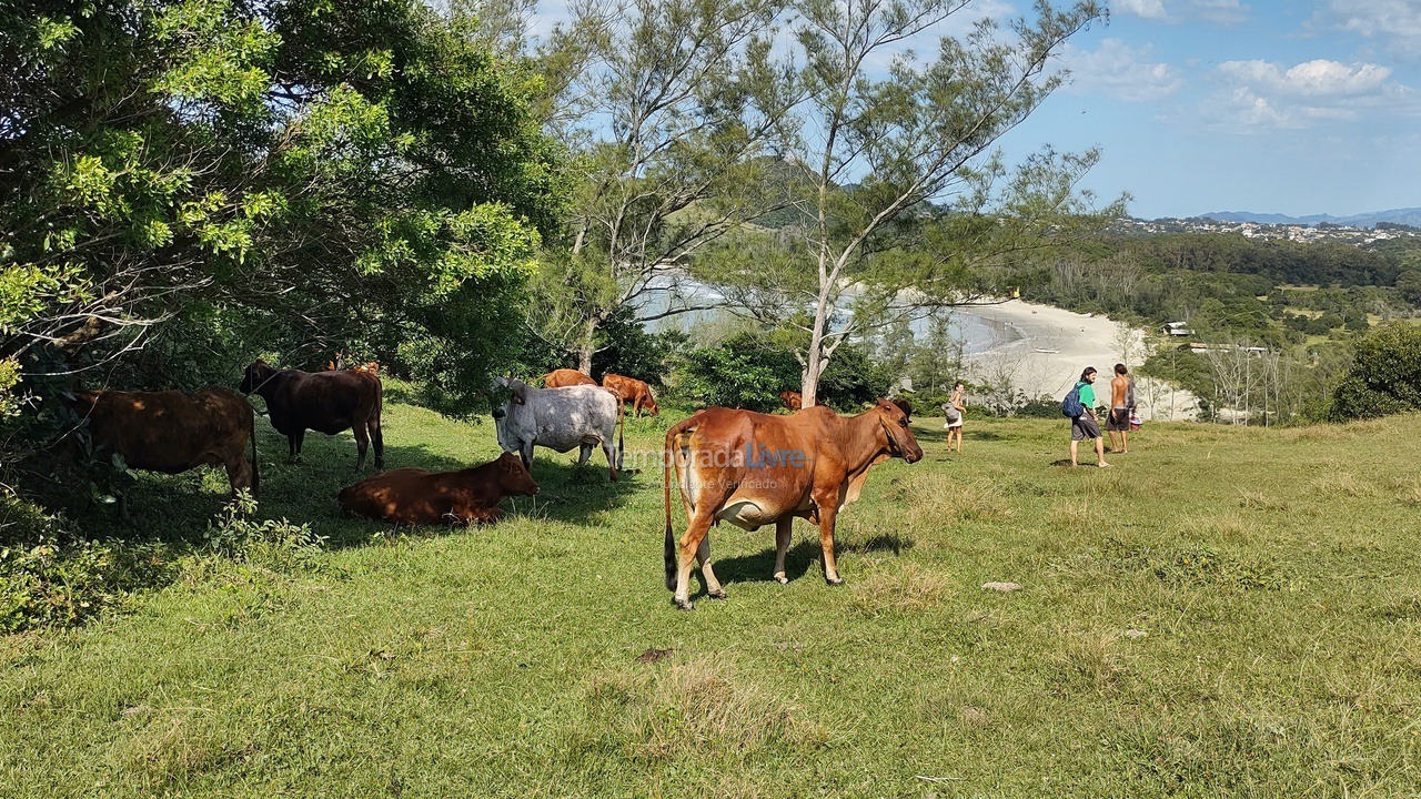 Casa para aluguel de temporada em Imbituba (Praia do Rosa)