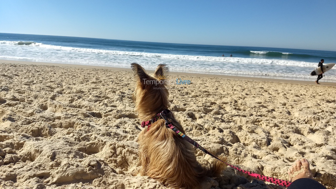 Casa para aluguel de temporada em Imbituba (Praia do Rosa)