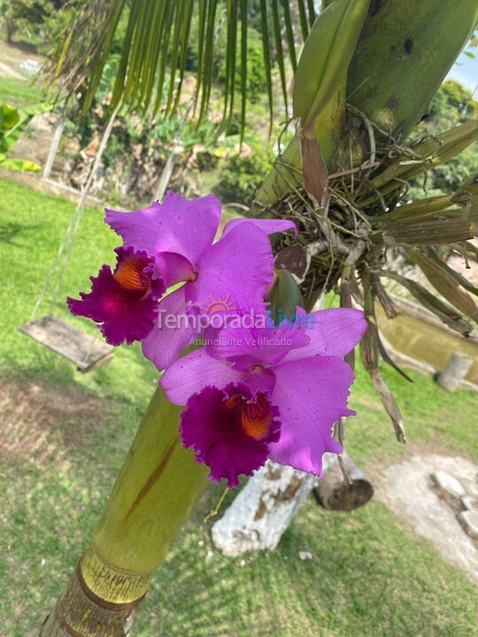 Granja para alquiler de vacaciones em Biritiba Mirim (Pomar do Carmo)