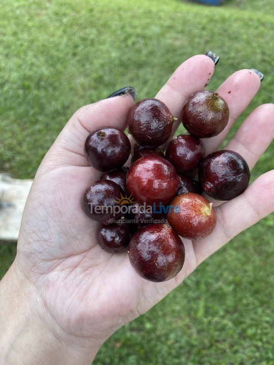 Granja para alquiler de vacaciones em Biritiba Mirim (Pomar do Carmo)