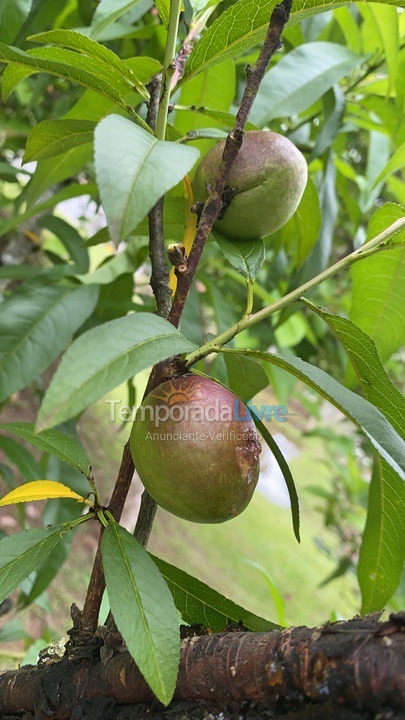Granja para alquiler de vacaciones em Biritiba Mirim (Pomar do Carmo)