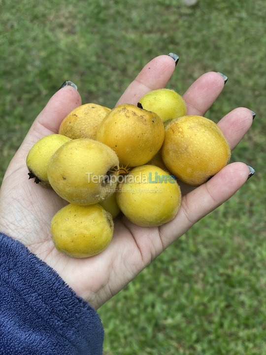 Granja para alquiler de vacaciones em Biritiba Mirim (Pomar do Carmo)