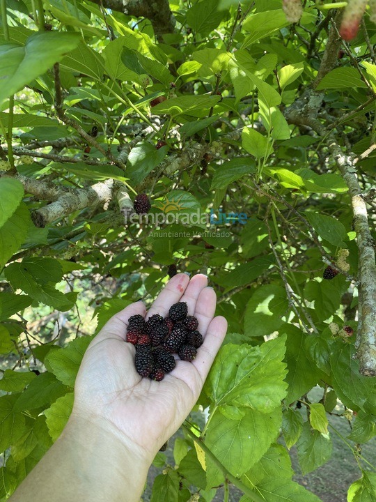Granja para alquiler de vacaciones em Biritiba Mirim (Pomar do Carmo)