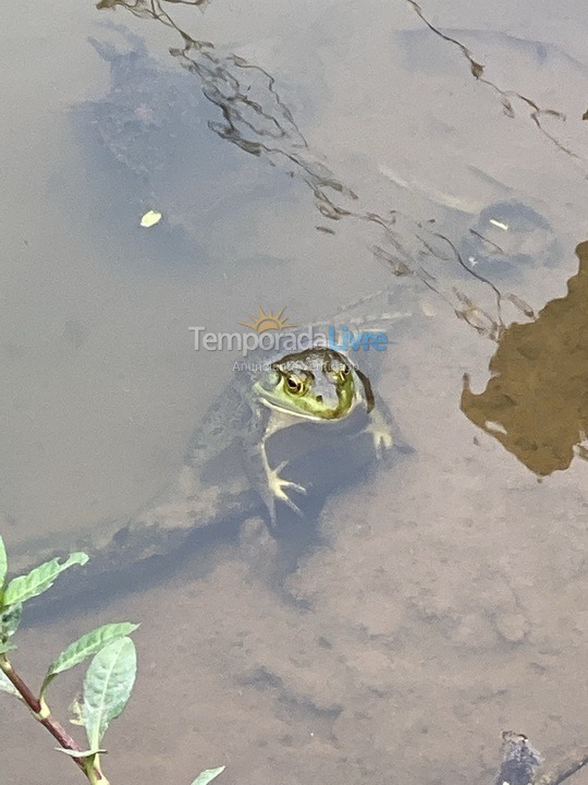 Granja para alquiler de vacaciones em Biritiba Mirim (Pomar do Carmo)