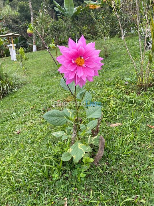 Granja para alquiler de vacaciones em Biritiba Mirim (Pomar do Carmo)