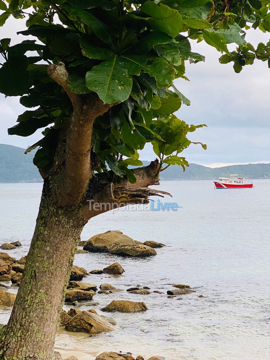 Apartment for vacation rental in Bombinhas (Praia de Bombinhas)