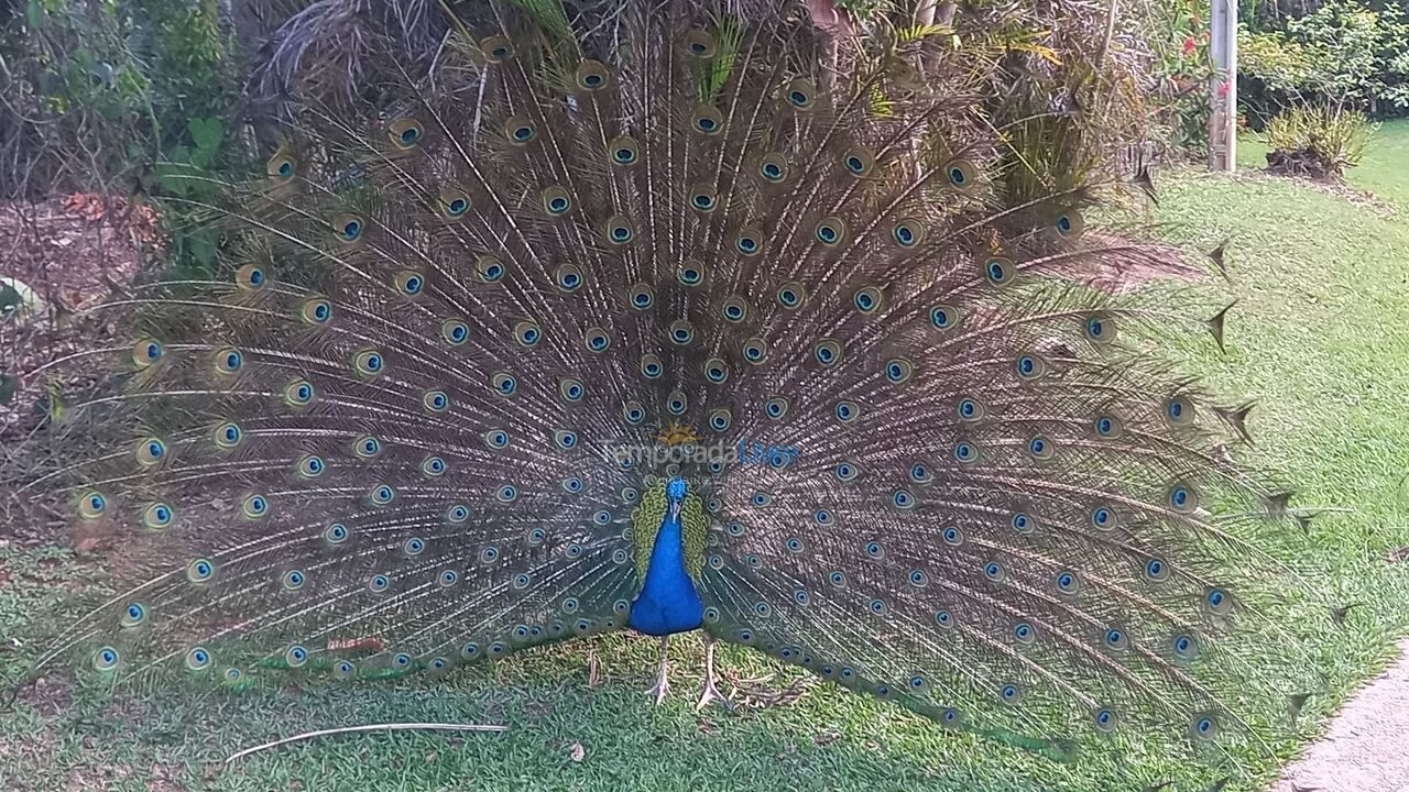 Chácara / sítio para aluguel de temporada em Jundiaí (Medeiros)